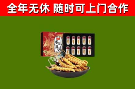 綦江区回收冬虫夏草价格