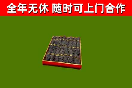 綦江区回收海参